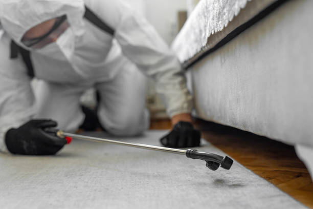 Professional Bed Bug Control technician working in Britt, IA