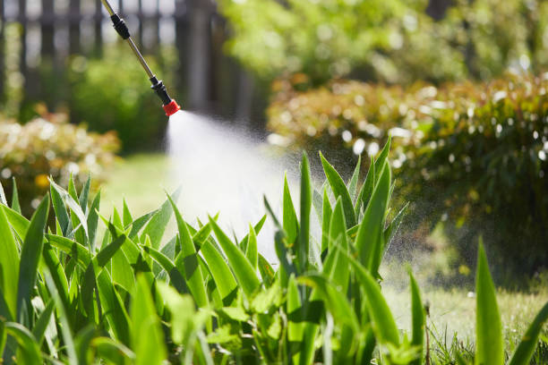 24/7 Emergency Bed Bug Control experts in Britt, IA