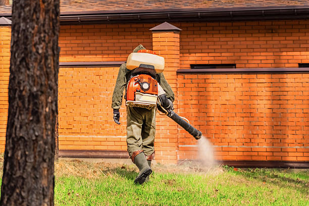 Trusted Rodent Control service in Britt, IA - Nex Pest Control